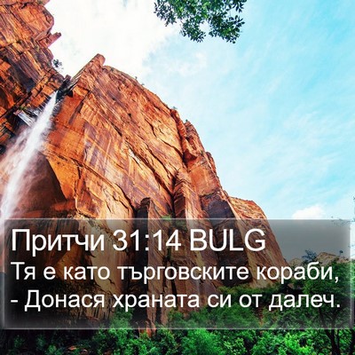 Притчи 31:14 BULG Bible Verse Image