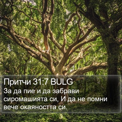 Притчи 31:7 BULG Bible Verse Image