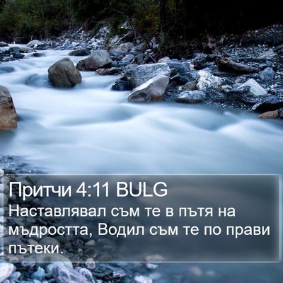 Притчи 4:11 BULG Bible Verse Image