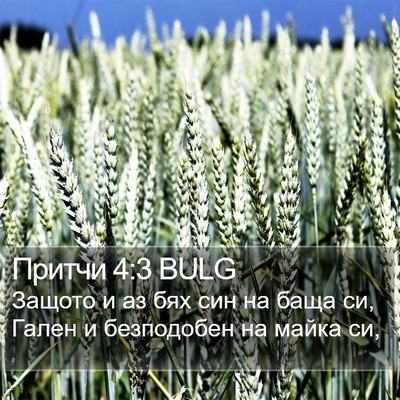 Притчи 4:3 BULG Bible Verse Image
