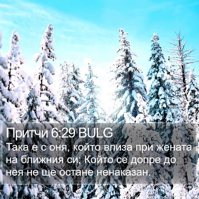 Притчи 6:29 BULG Bible Verse Image