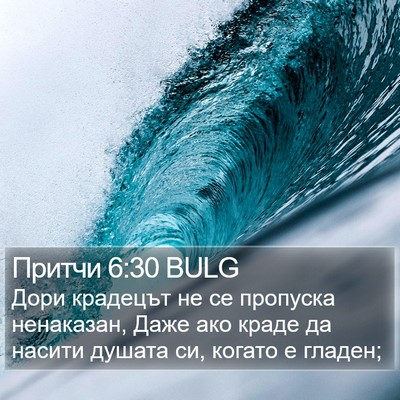 Притчи 6:30 BULG Bible Verse Image