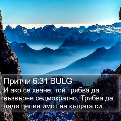 Притчи 6:31 BULG Bible Verse Image