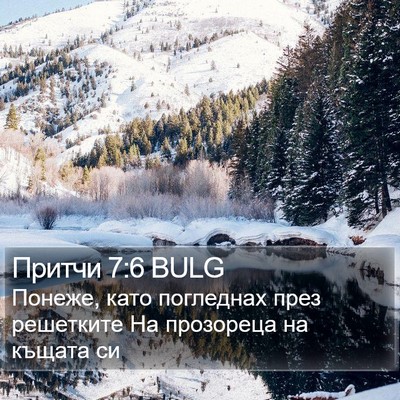 Притчи 7:6 BULG Bible Verse Image