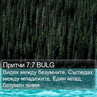 Притчи 7:7 BULG Bible Verse Image