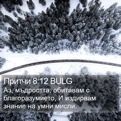 Притчи 8:12 BULG Bible Verse Image