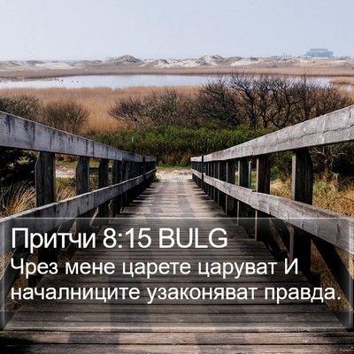 Притчи 8:15 BULG Bible Verse Image