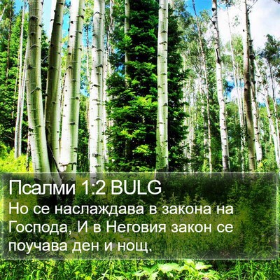 Псалми 1:2 BULG Bible Verse Image