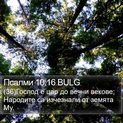 Псалми 10:16 BULG Bible Verse Image