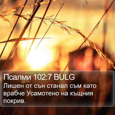 Псалми 102:7 BULG Bible Verse Image