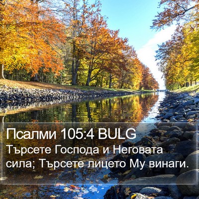 Псалми 105:4 BULG Bible Verse Image