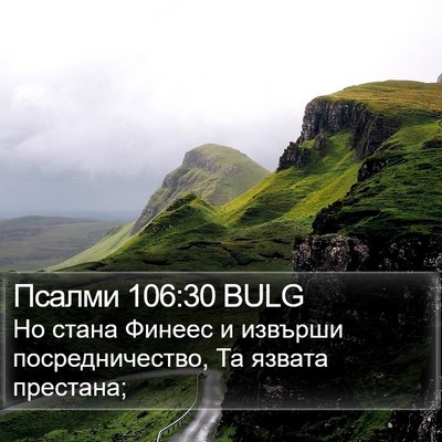 Псалми 106:30 BULG Bible Verse Image