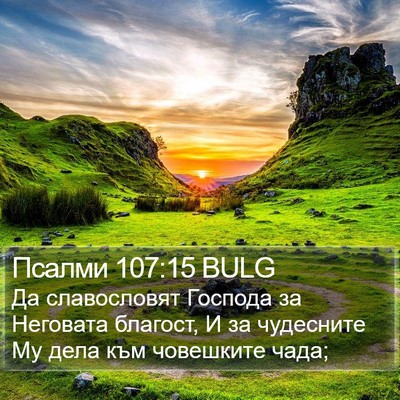 Псалми 107:15 BULG Bible Verse Image