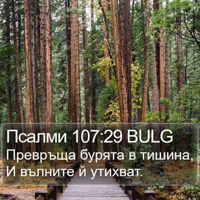 Псалми 107:29 BULG Bible Verse Image