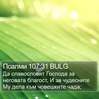 Псалми 107:31 BULG Bible Verse Image