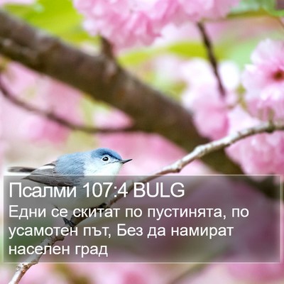 Псалми 107:4 BULG Bible Verse Image