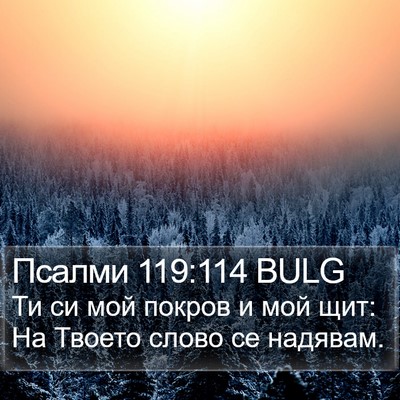 Псалми 119:114 BULG Bible Verse Image