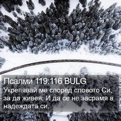 Псалми 119:116 BULG Bible Verse Image