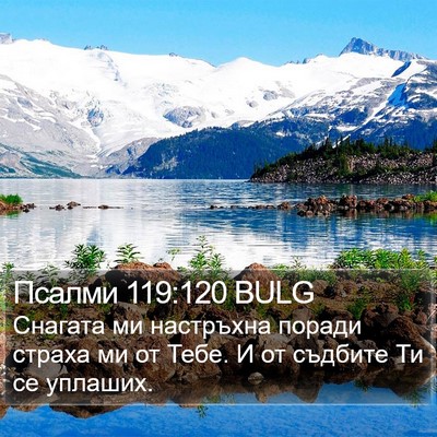 Псалми 119:120 BULG Bible Verse Image