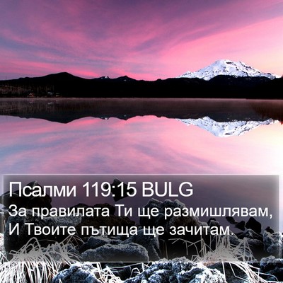 Псалми 119:15 BULG Bible Verse Image