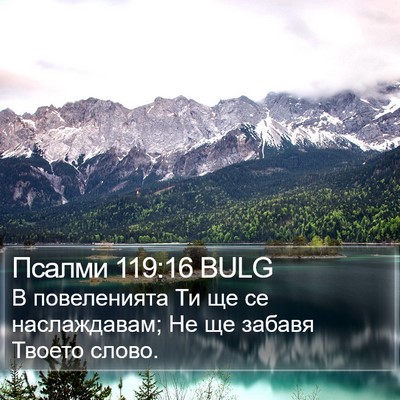 Псалми 119:16 BULG Bible Verse Image