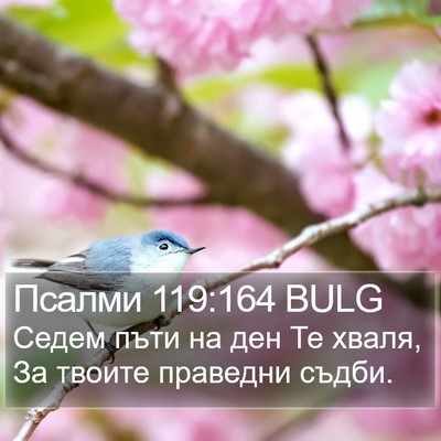 Псалми 119:164 BULG Bible Verse Image