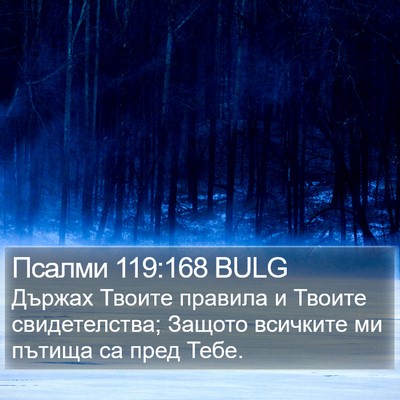 Псалми 119:168 BULG Bible Verse Image