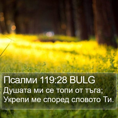 Псалми 119:28 BULG Bible Verse Image