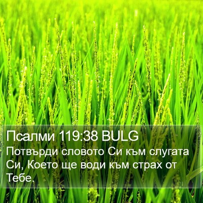 Псалми 119:38 BULG Bible Verse Image