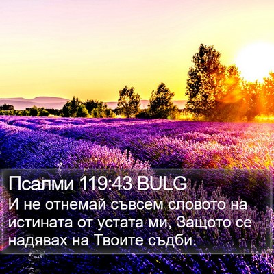 Псалми 119:43 BULG Bible Verse Image