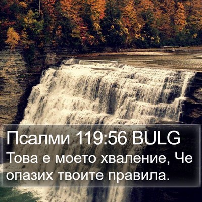 Псалми 119:56 BULG Bible Verse Image
