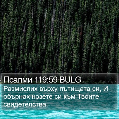 Псалми 119:59 BULG Bible Verse Image