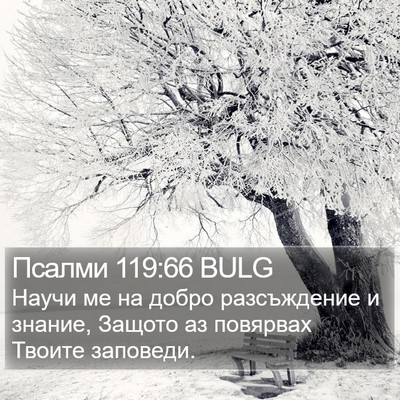 Псалми 119:66 BULG Bible Verse Image