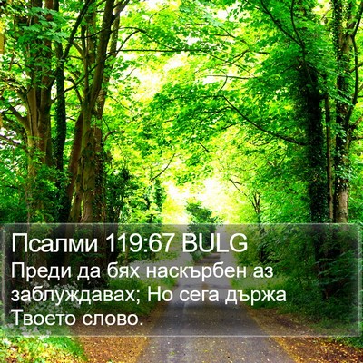 Псалми 119:67 BULG Bible Verse Image