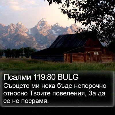 Псалми 119:80 BULG Bible Verse Image