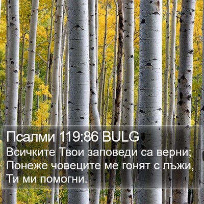 Псалми 119:86 BULG Bible Verse Image