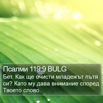 Псалми 119:9 BULG Bible Verse Image