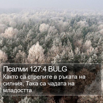 Псалми 127:4 BULG Bible Verse Image