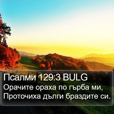 Псалми 129:3 BULG Bible Verse Image