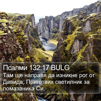 Псалми 132:17 BULG Bible Verse Image