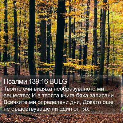 Псалми 139:16 BULG Bible Verse Image