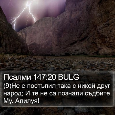 Псалми 147:20 BULG Bible Verse Image