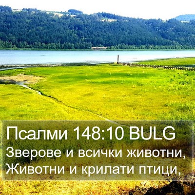 Псалми 148:10 BULG Bible Verse Image