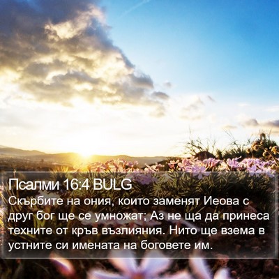 Псалми 16:4 BULG Bible Verse Image