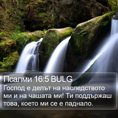 Псалми 16:5 BULG Bible Verse Image