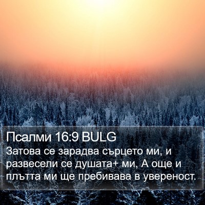 Псалми 16:9 BULG Bible Verse Image
