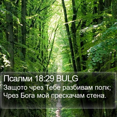 Псалми 18:29 BULG Bible Verse Image