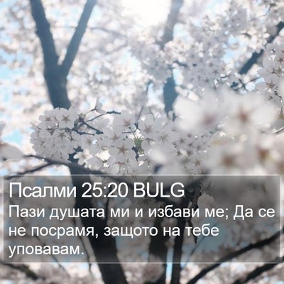 Псалми 25:20 BULG Bible Verse Image