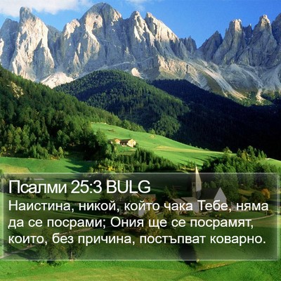 Псалми 25:3 BULG Bible Verse Image
