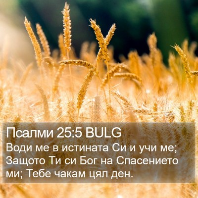 Псалми 25:5 BULG Bible Verse Image